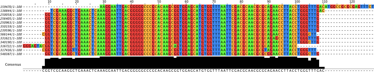 /coolneng/bachelor-thesis/media/commit/08b74bb370d2639048506570bb10aeb8cdd3fe1f/assets/figures/consensus-sequence.png