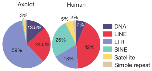 /ugent/cartoon-biology/media/commit/20a8e1d184dd2d65fefdbf15245498b567a22472/assets/repeats.png